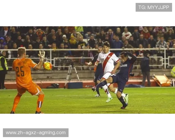 法甲联赛球员参赛：球员参赛情况与表现分析